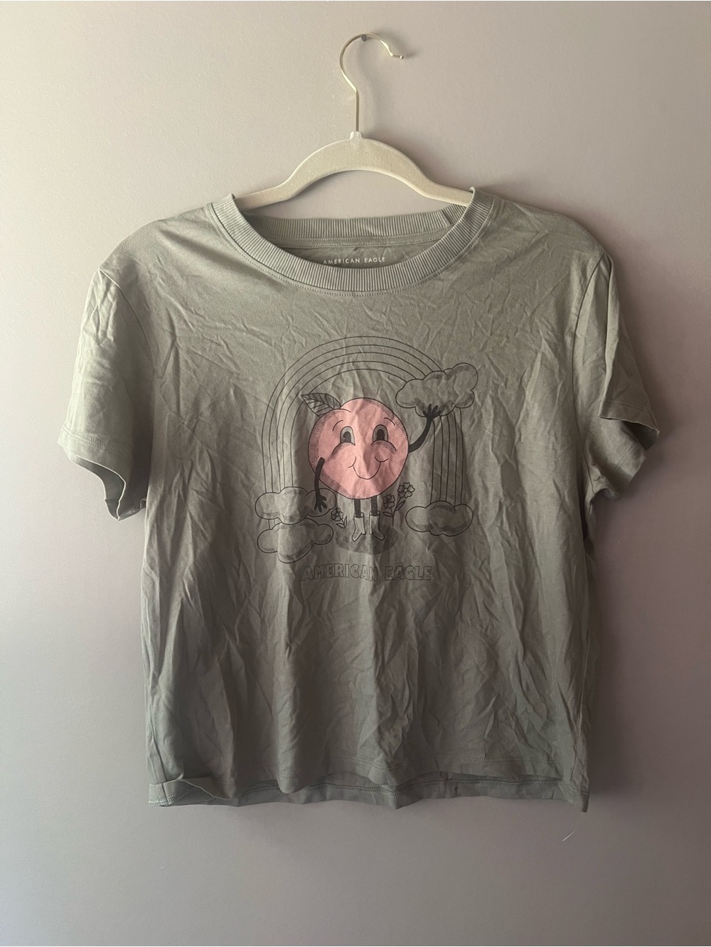 American Eagle Outfitters Sage Green Short Sleeve Tee with Pink Sun Graphic